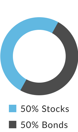 ABLE Moderate: 50% Stocks, 50% Bonds